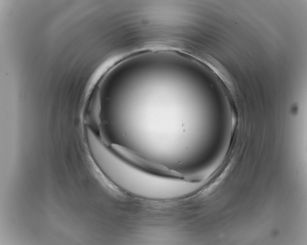 X0000091991196200709131447
