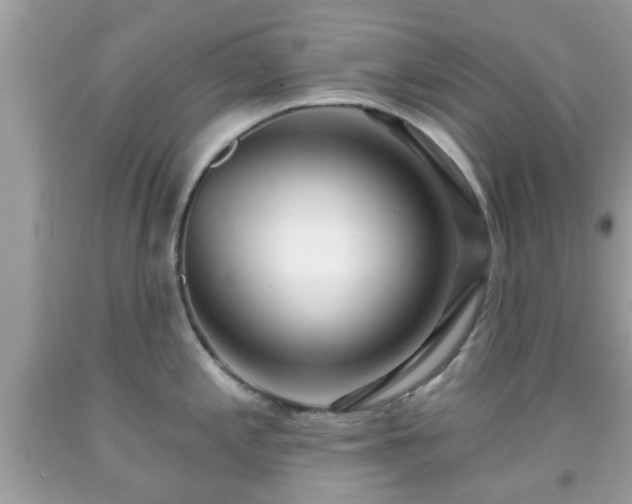 X0000091991197200709131447