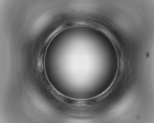 X0000091991198200709131447