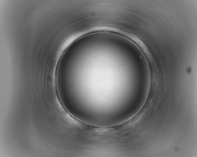 X0000091991199200709131447