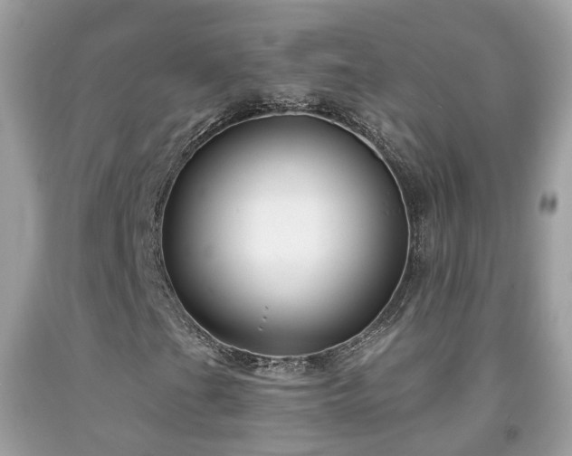 X0000091991201200709131446