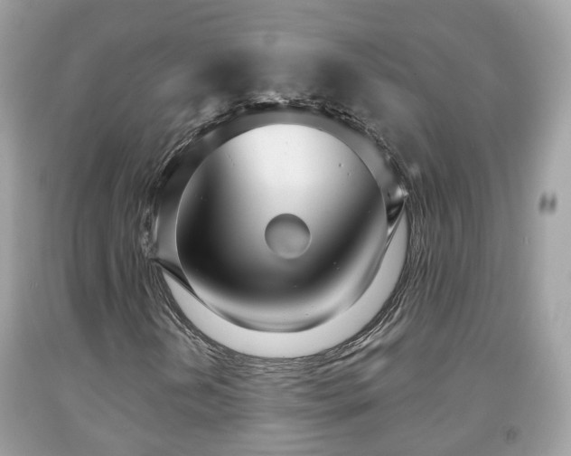 X0000091991202200709131446