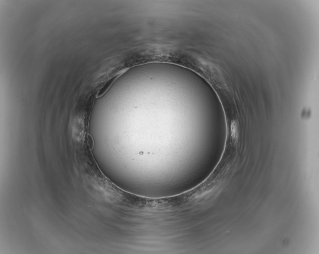 X0000091991203200709131446