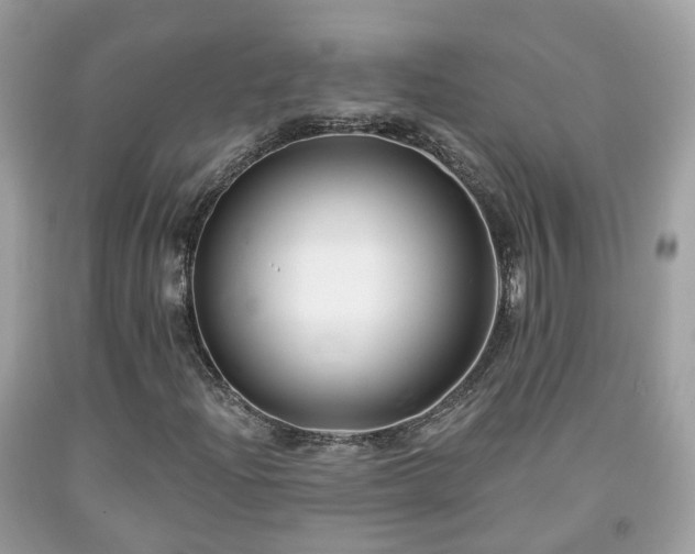 X0000091991204200709131446