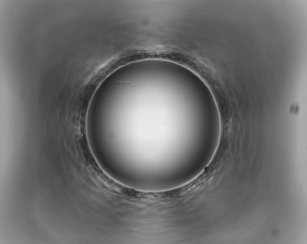 X0000091991205200709131446