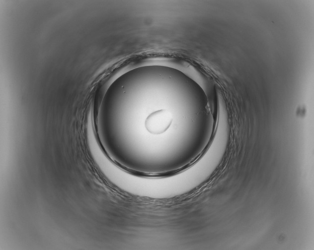 X0000091991206200709131446