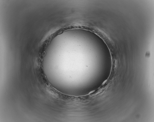 X0000091991207200709131447