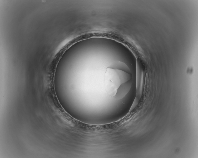 X0000091991208200709131447