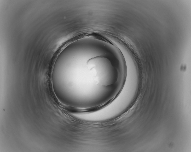 X0000091991210200709131447