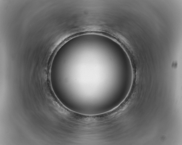 X0000091991212200709131447