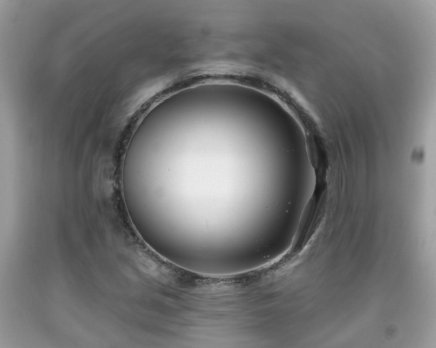 X0000091991213200709131447