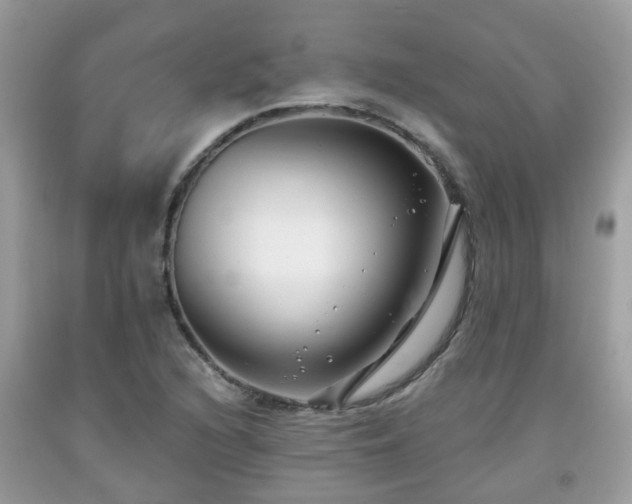 X0000091991216200709131447