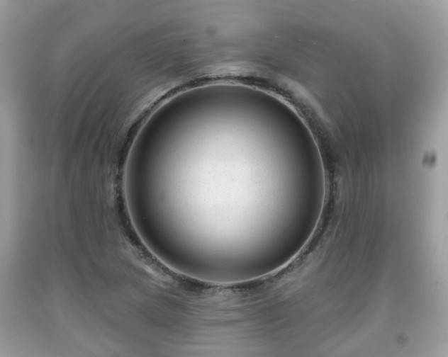 X0000091991217200709131447