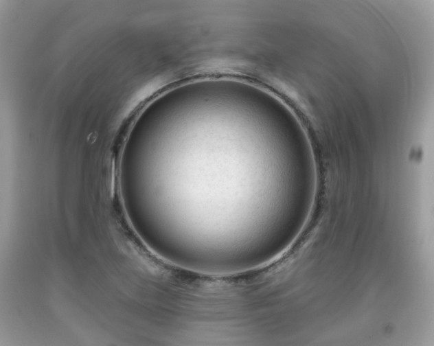 X0000091991219200709131447