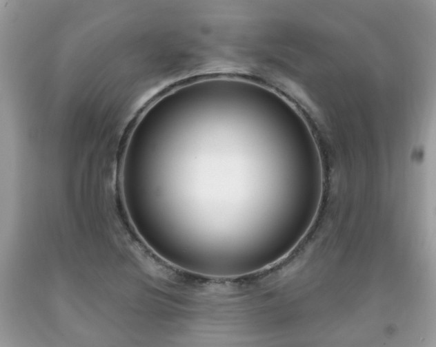 X0000091991220200709131447