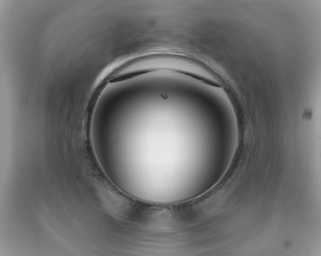 X0000091991222200709131447