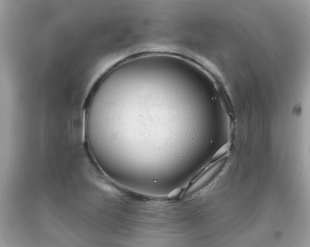 X0000091991223200709131447