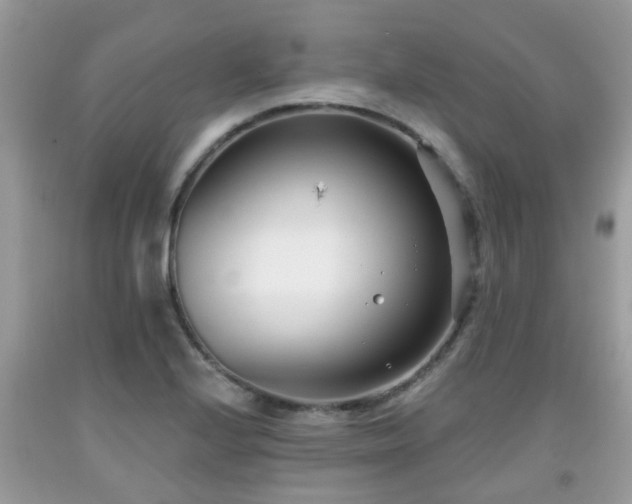 X0000091991224200709131447