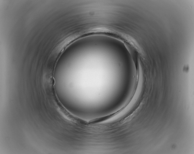 X0000091991225200709131447