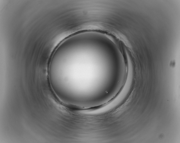 X0000091991226200709131447