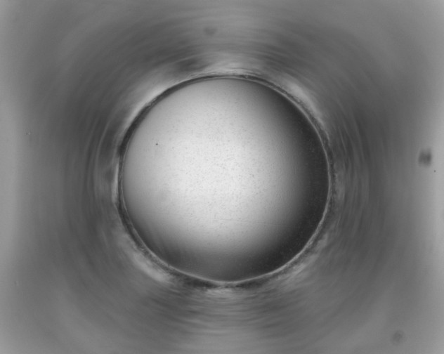 X0000091991227200709131447