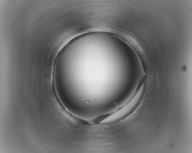 X0000091991228200709131447