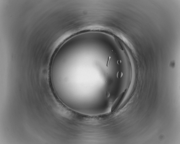 X0000091991229200709131447