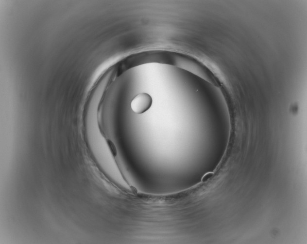 X0000091991230200709131447