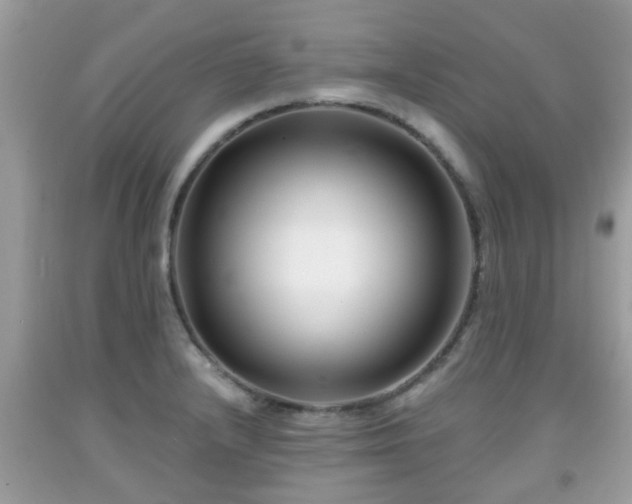 X0000091991232200709131447