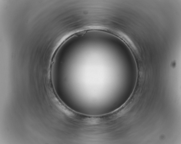 X0000091991236200709131447