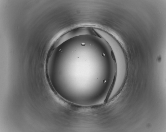 X0000091991237200709131447