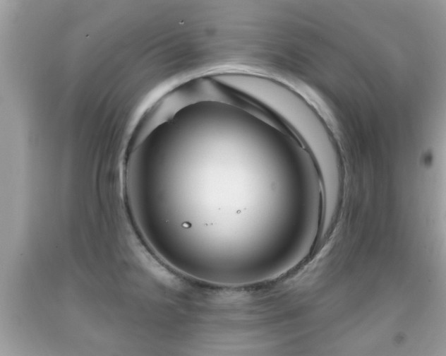 X0000091991238200709131447