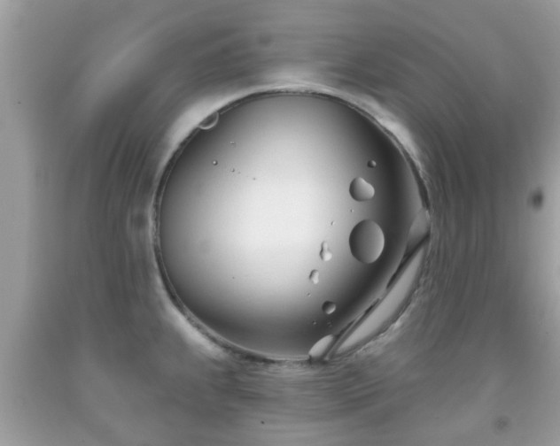X0000091991239200709131447