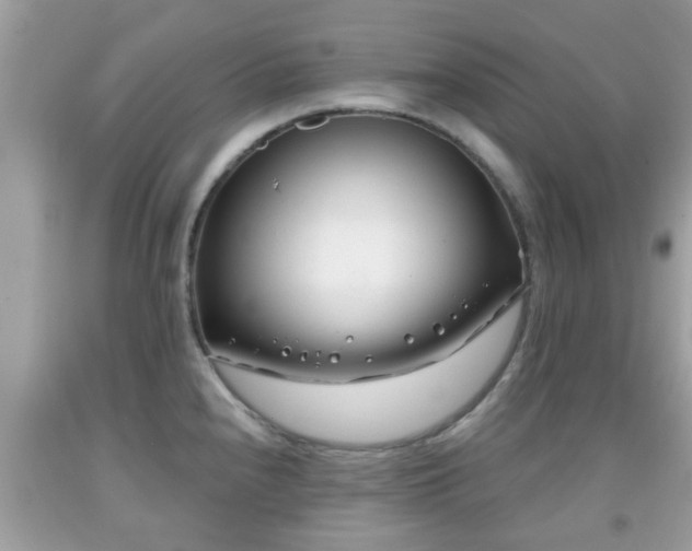 X0000091991240200709131447