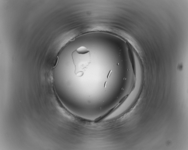 X0000091991241200709131447