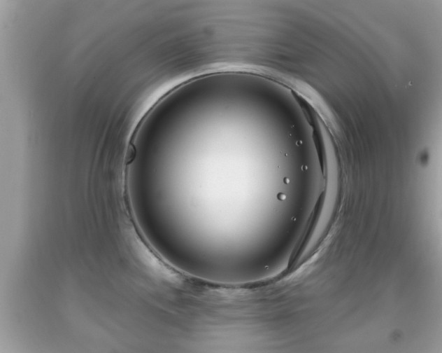 X0000091991244200709131447