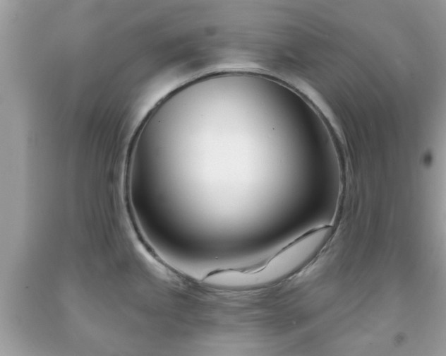 X0000091991245200709131447