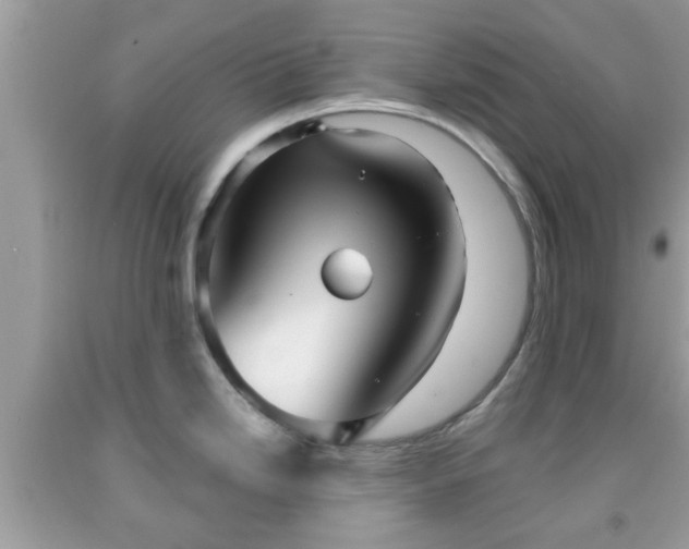 X0000091991246200709131447