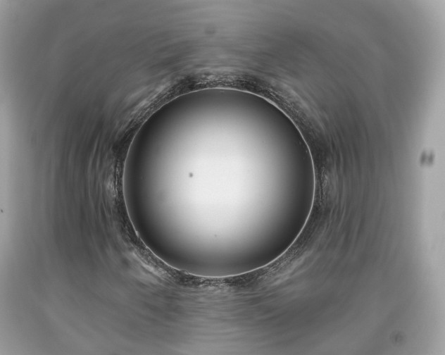 X0000091991250200709131446
