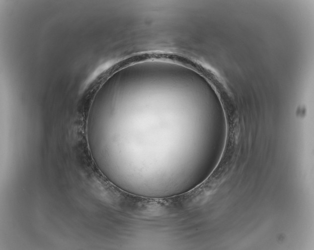 X0000091991255200709131446
