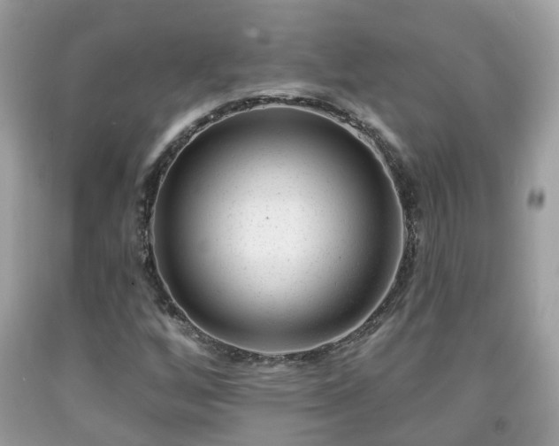 X0000091991256200709131446
