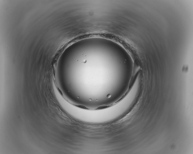 X0000091991257200709131446