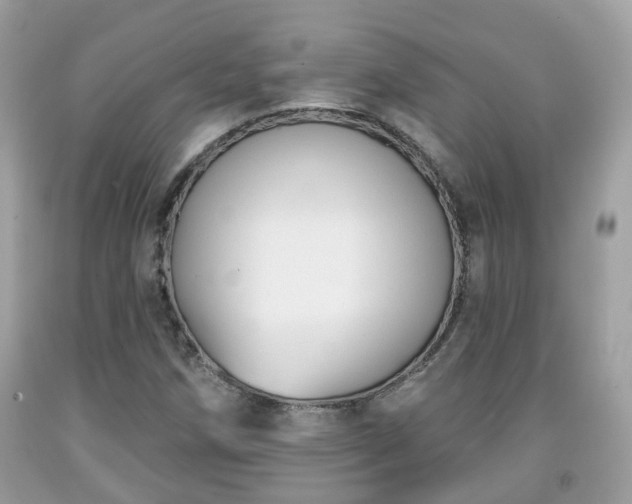 X0000091991258200709131446