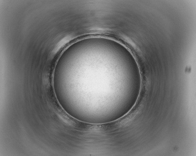 X0000091991259200709131446