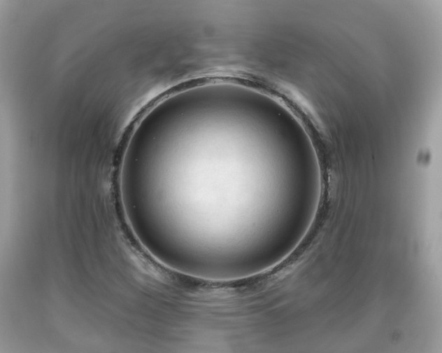 X0000091991260200709131446
