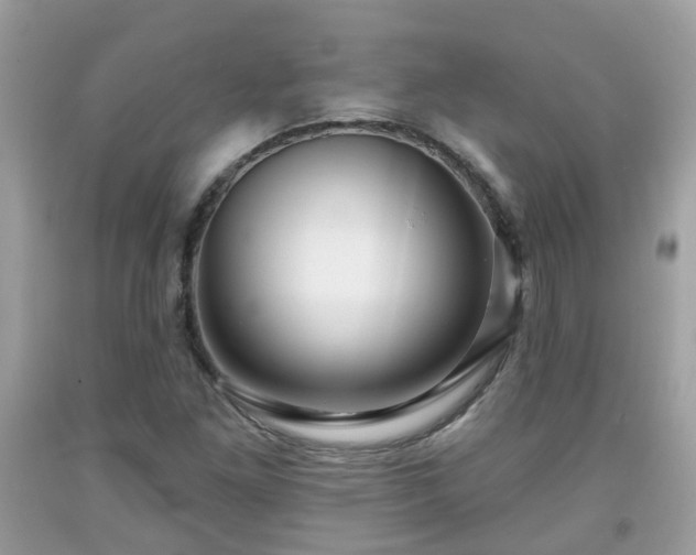 X0000091991261200709131446