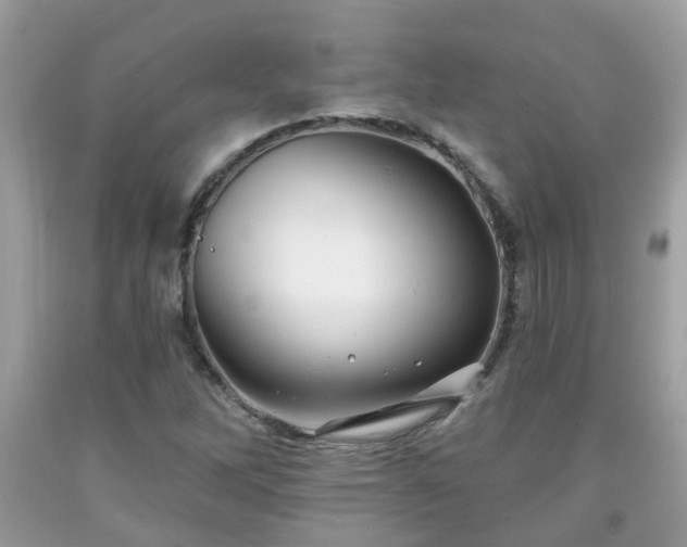 X0000091991262200709131446