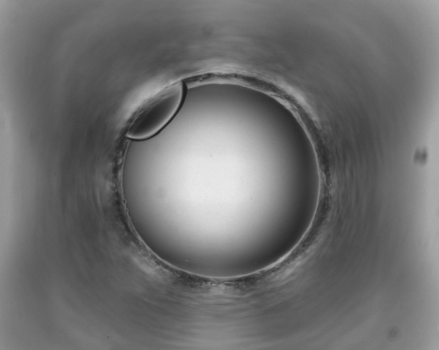 X0000091991263200709131446