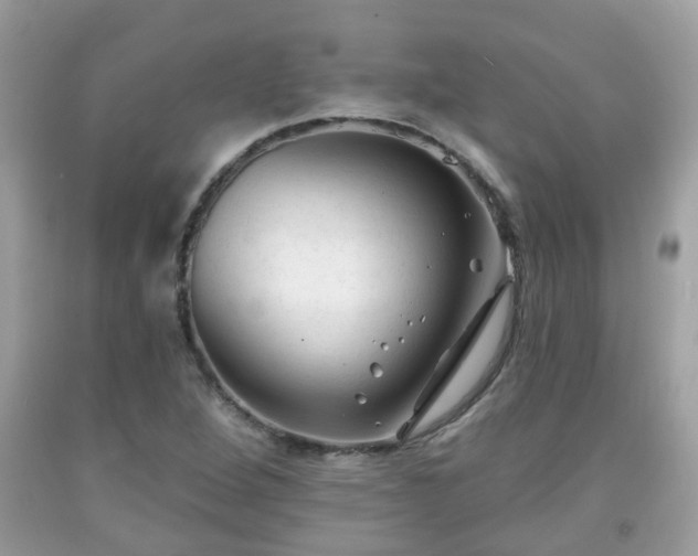 X0000091991264200709131446
