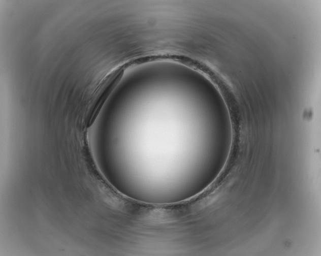 X0000091991265200709131446